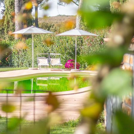 Ai Due Cedri Konuk evi Capranica Dış mekan fotoğraf
